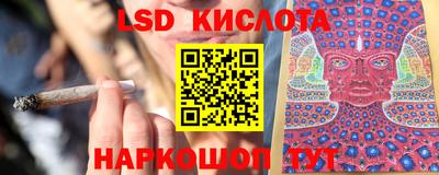 ECSTASY Камышлов