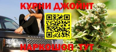ECSTASY Камышлов