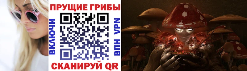 Псилоцибиновые грибы ЛСД  Лабинск 