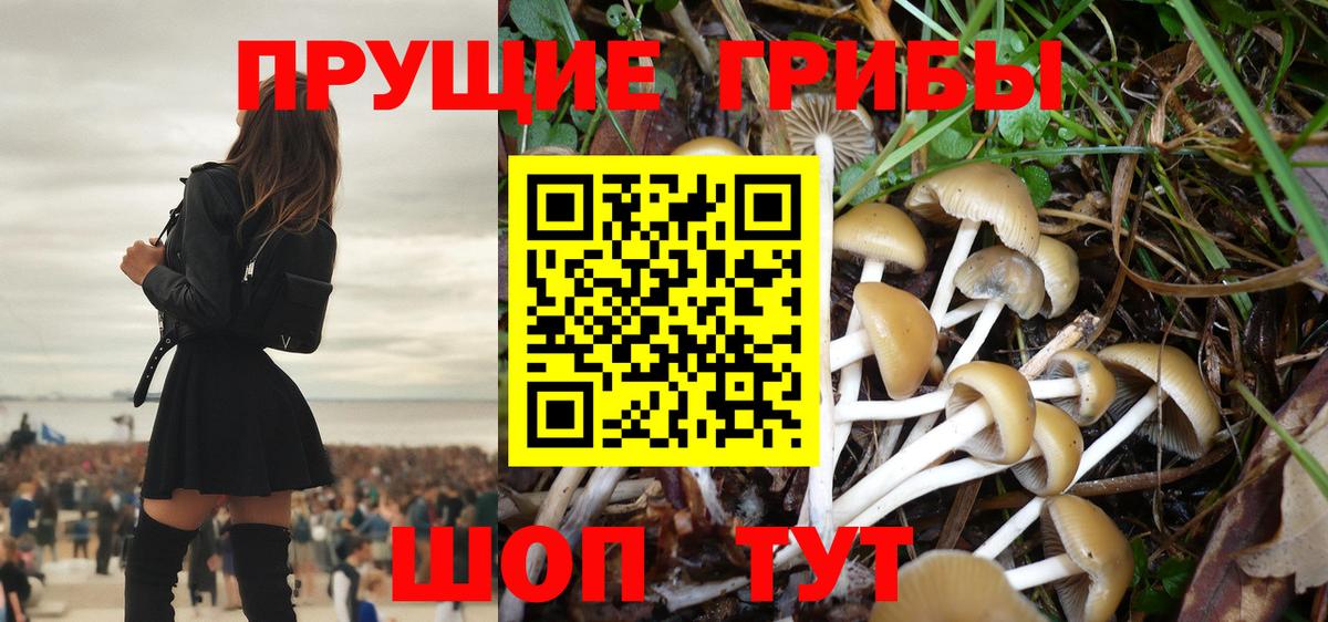 Галлюциногенные грибы MAGIC MUSHROOMS Лабинск