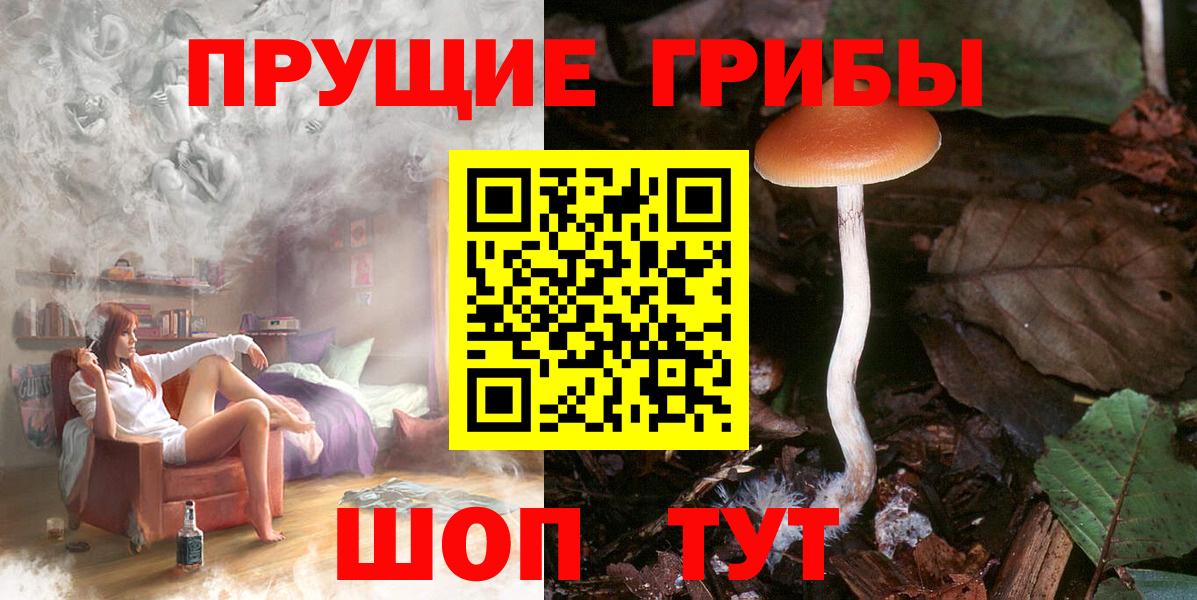 Галлюциногенные грибы Magic Shrooms  закладки  Вход с VPN  Лабинск  Псилоцибиновые грибы MAGIC MUSHROOMS 